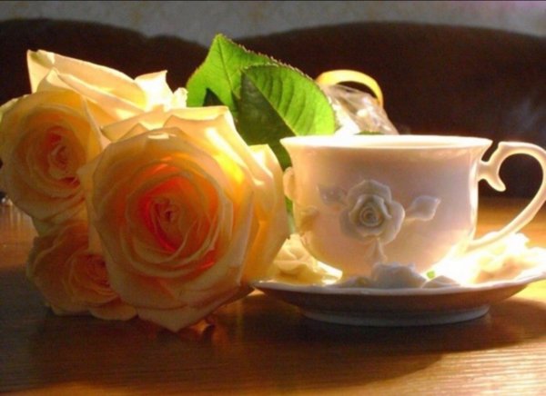 Солнечное утро