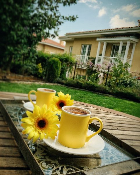 Доброе Весеннее утро