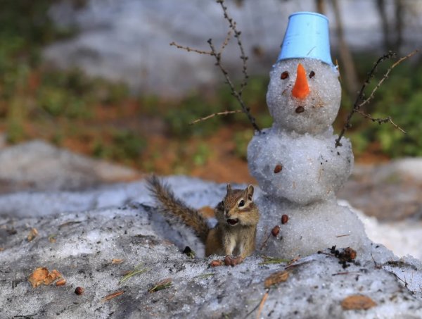 Весенний Снеговик