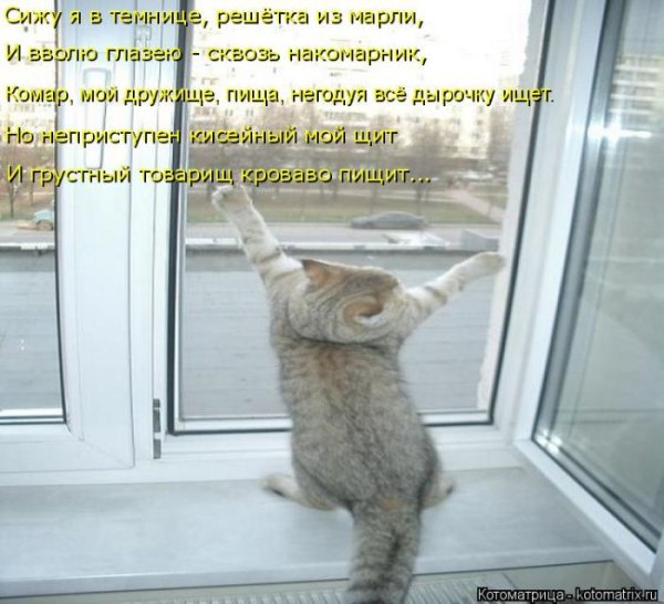 Открытка наконец то тепло