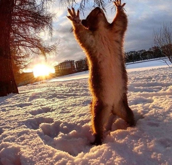 Солнышка в душе