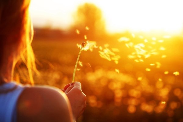 Хочется солнышка и тепла