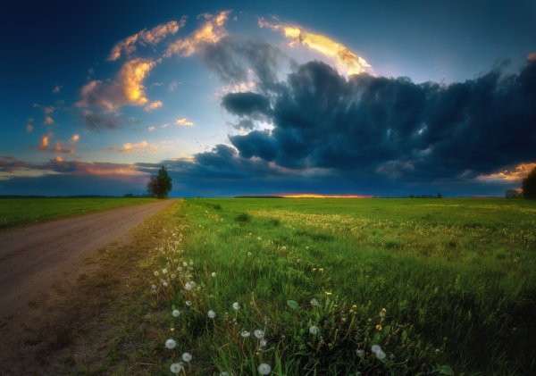 Солнечная погода рисунок