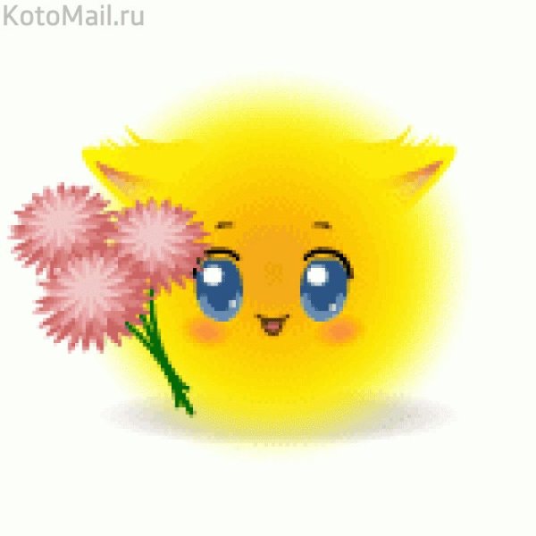 Доброе утро солнышко