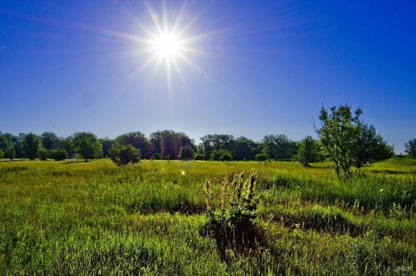 Красивая природа с радугой