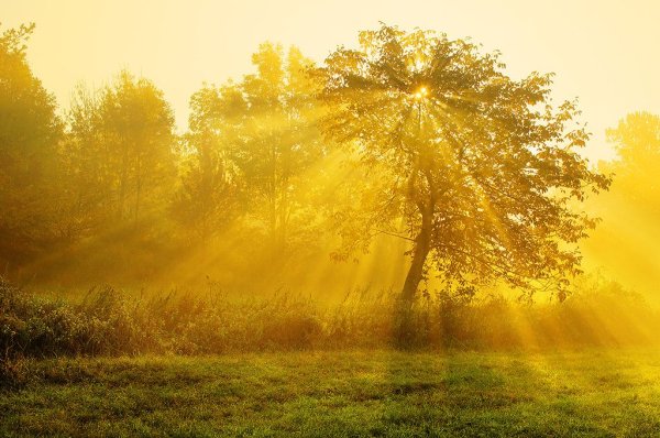 Лучи солнца