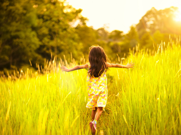 Солнце радость