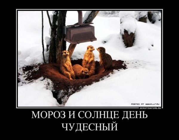 Мороз демотиватор