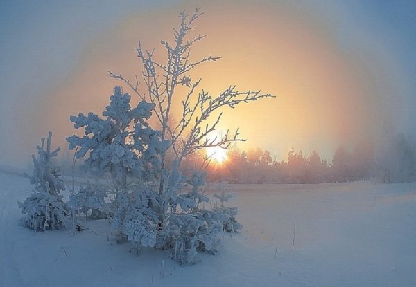 Мороз и солнце день чудесный гифки