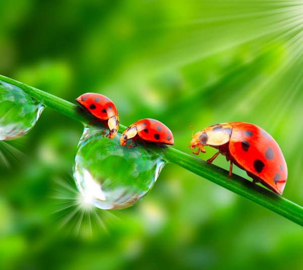 Эмблемы на шкафчики