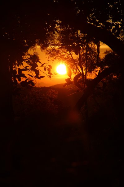 Солнце ночи