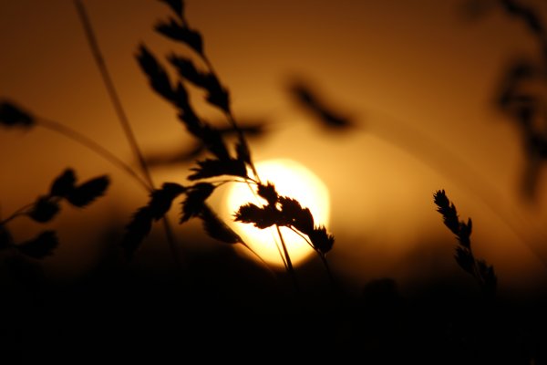 Луч солнца в темноте