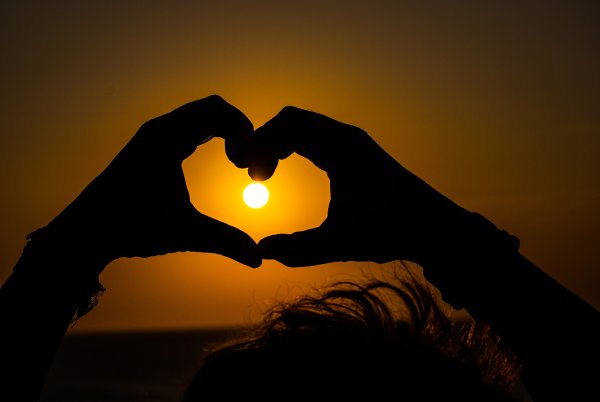 Ночь на ладони