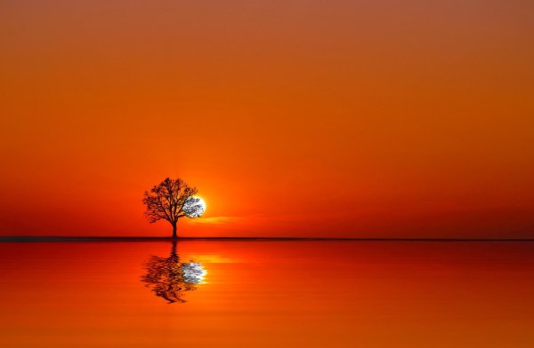 Пейзаж в оранжевых тонах