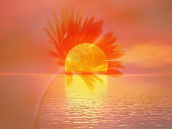 Солнечно-оранжевый цвет