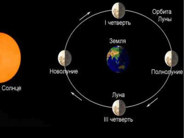 Фазы Луны