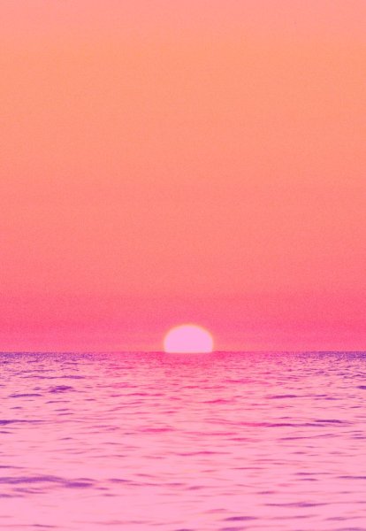 Цвет розовый закат