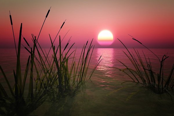 Фиолетовый закат