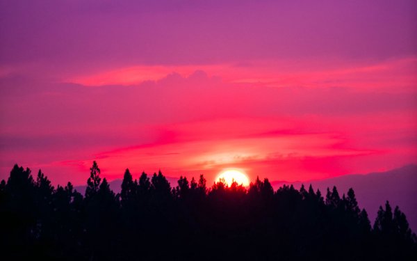 Фиолетовое небо