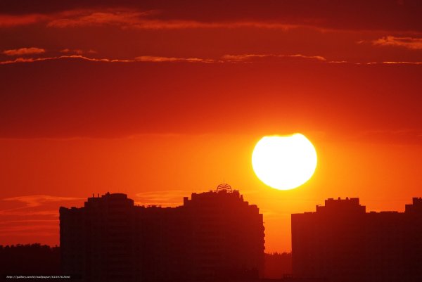 Солнце над городом