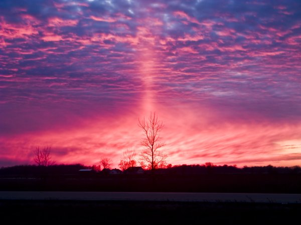 Розовое небо
