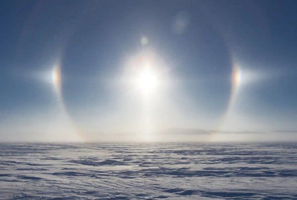 Паргелий и гало отличия