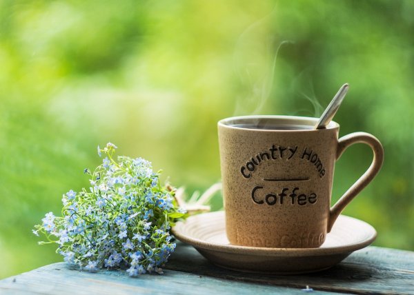 Доброе утро лето