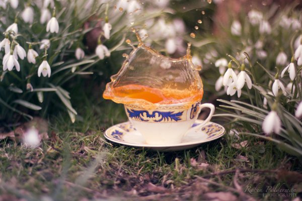Весенний чай на природе