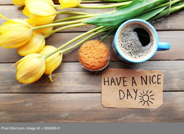 Доброе утро Весна