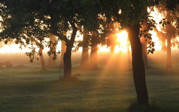 Осенний рассвет