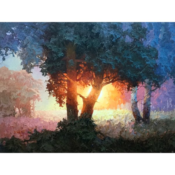 Природа река береза солнце