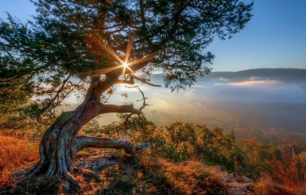 Дорога, освещенная солнцем