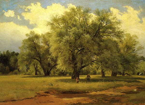 Рассвет в лесу летом