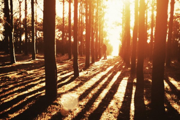 Фото солнце с лучами