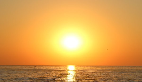 Желтое солнце