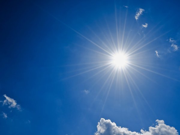 Солнце светило