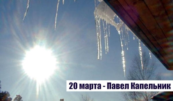 Закат в лесу весной