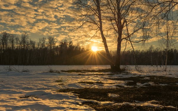 Солнечное небо