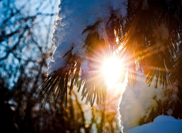 Солнце светит Весна