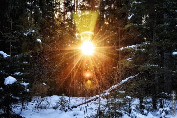 Свет солнца