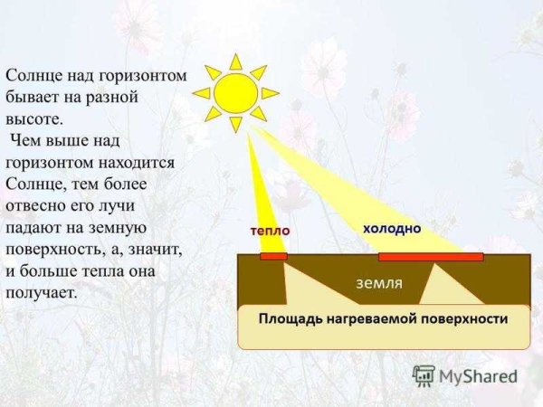 Солнце радость