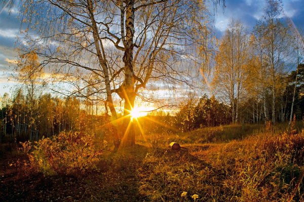 Стихи про Солнечный день