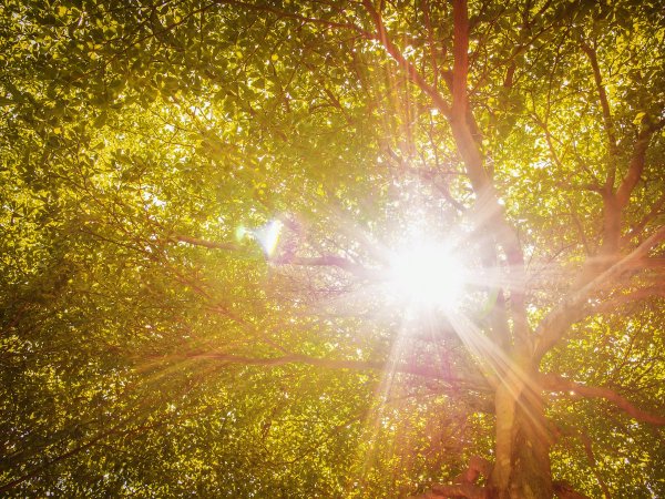 Яркое солнце