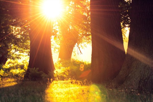 Солнце светит