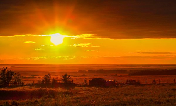 Золотая природа солнце