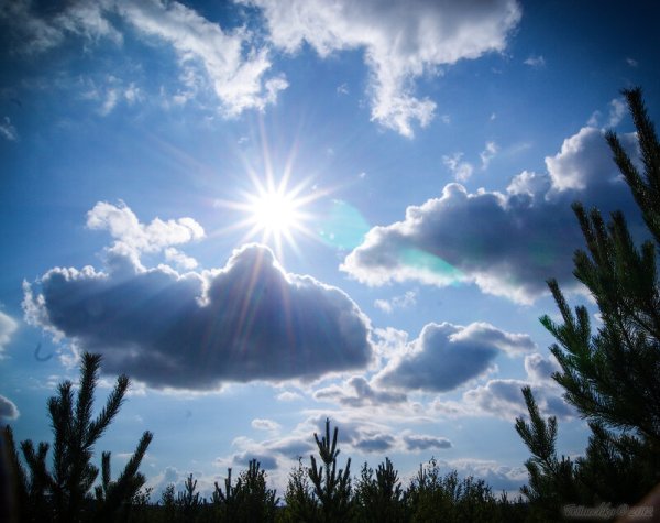 Золотое солнце