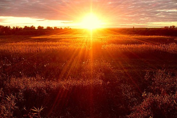 Рассвет лучи солнца