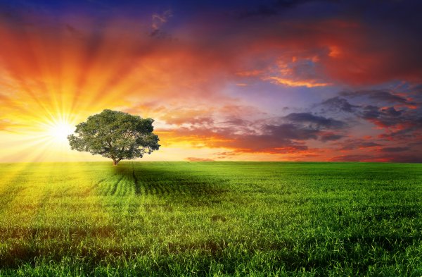 Красивый рассвет