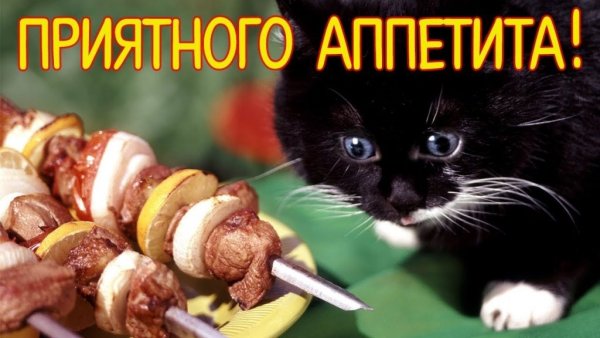 Приятного аппетита любимый муж