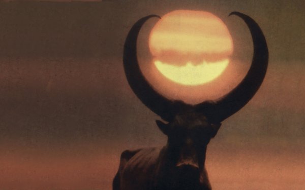 Лунная корова